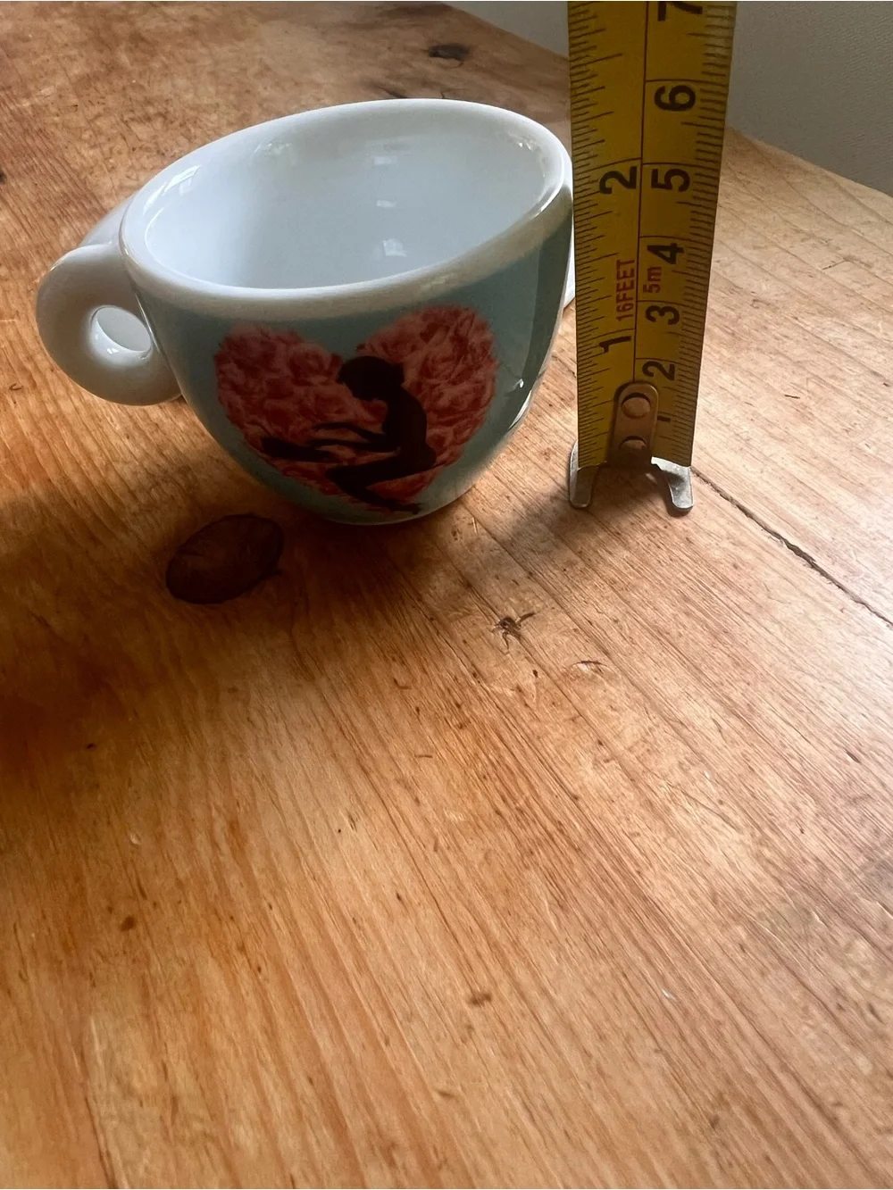 2009 Illy Art Collection espresso cup Pedro Almodóvar Broken Embraces Roses 🩷